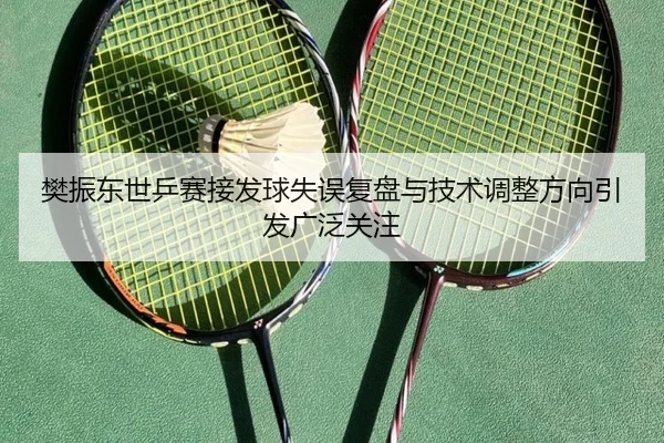 樊振东世乒赛接发球失误复盘与技术调整方向引发广泛关注